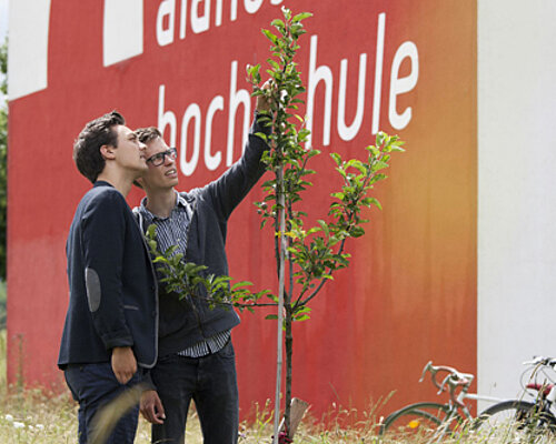 Studierende pflanzen einen Baum an der Alanus Hochschule. Der Baum wurde als Dankeschön für ein Praxisprojekt an den Fachbereich Wirtschaft im Studiengang Nachhaltiges Wirtschaften übergeben.