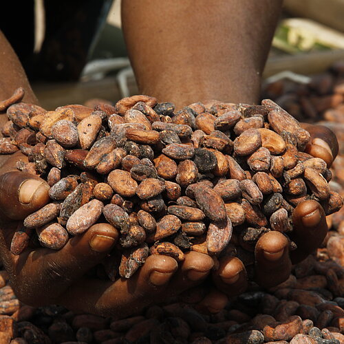 NGO-Stipendium mit Fairtrade