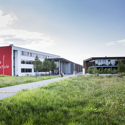 Stellenausschreibung: Lehrkraft für besondere Aufgaben (LfbA) für die Ausbildung von Klassenlehrer:innen an Waldorfschulen (Klasse 1-8)