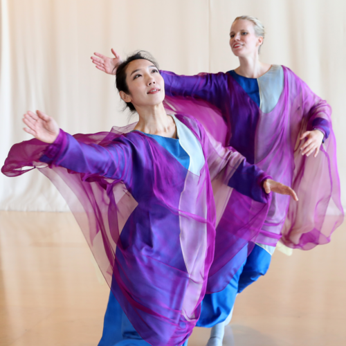 Master Eurythmie - Schwerpunkt Bühneneurythmie