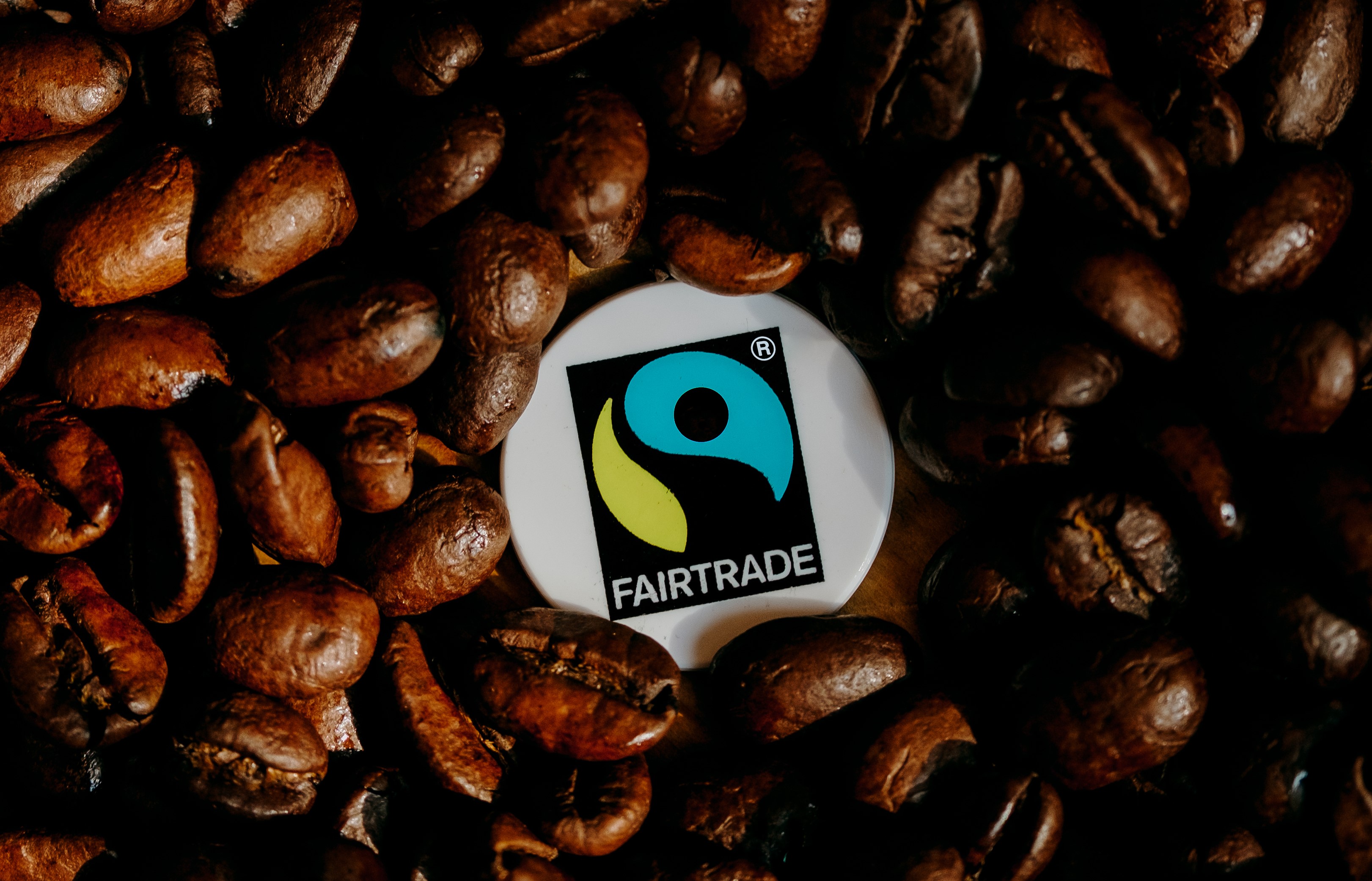 Fairtrade-Stipendien für BWL-Studium an der Alanus Hochschule