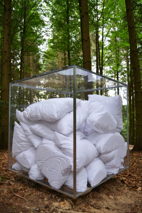 Kunstwerk im Wald aus Kissen in einem Glaskasten von Studierenden der Alanus Hochschule