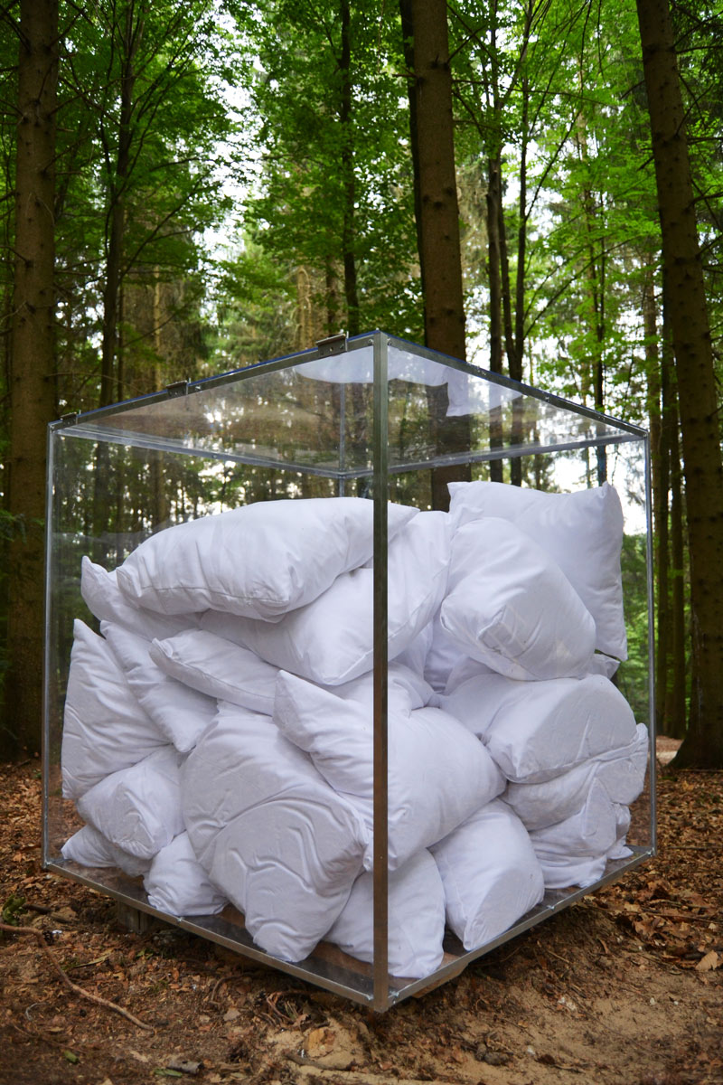 Kunstwerk im Wald aus Kissen in einem Glaskasten von Studierenden der Alanus Hochschule