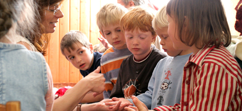 Eine Gruppe junger Kinder sitzt dicht nebeneinander in einem hellen Raum und hört aufmerksam einer Erwachsenen zu, die ihnen etwas in den Händen zeigt.