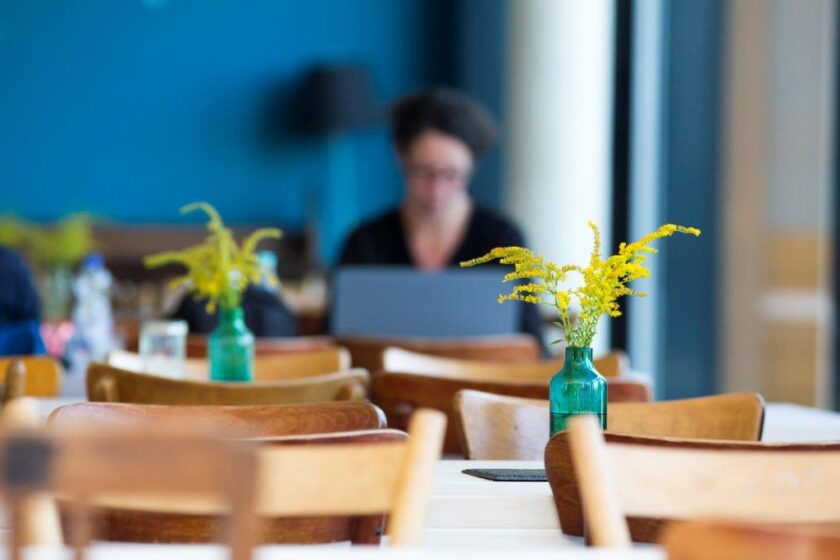 Eine Studentin arbeitet konzentriert für ihr Studium am Laptop.