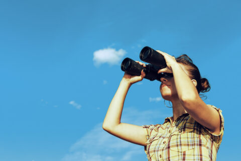 shutterstock_754489882_bearb