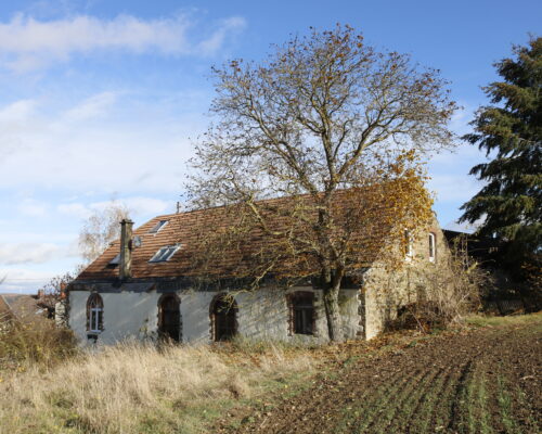 Alanus_Architektur_Mamma_Kevin_Osenau_2