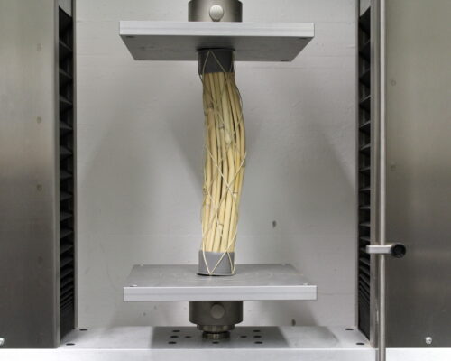 Alanus_Architektur_Miskantus_Jano_Knopp_3