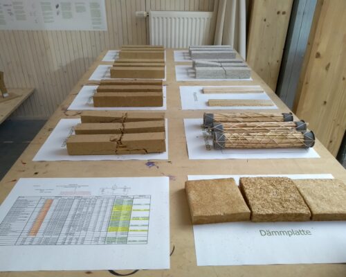 Alanus_Architektur_Miskantus_Jano_Knopp_8