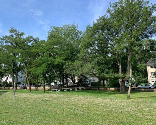 220621_art@immunosensation_10 220621_art@immunosensation_10