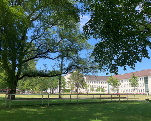 220622_art@immunosensation_02 220622_art@immunosensation_02