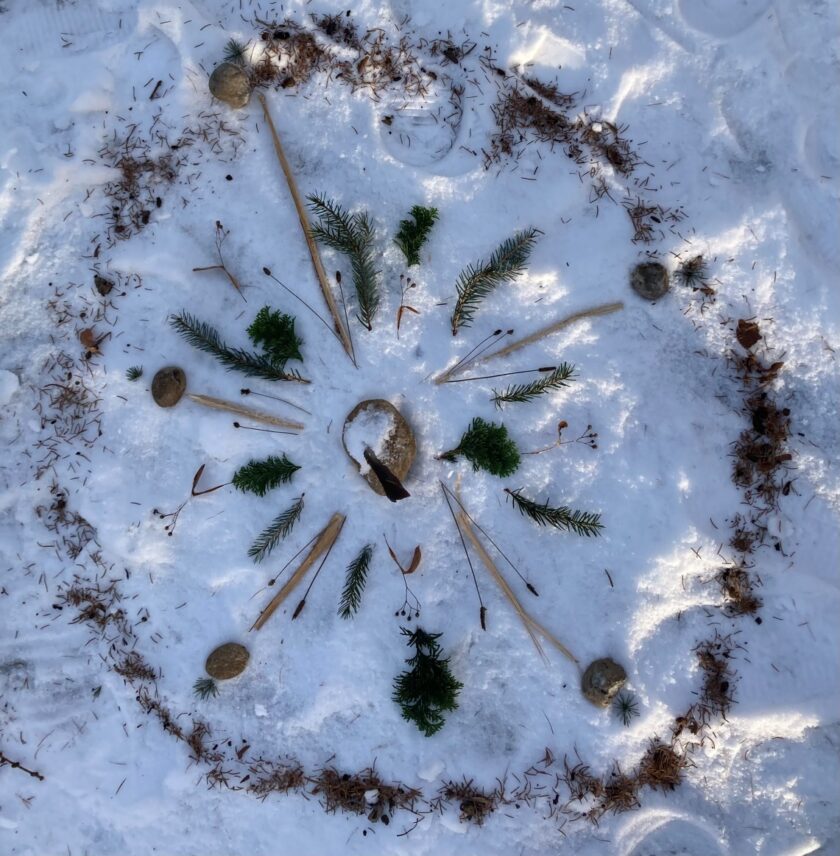 BiWi_Nachhaltige-Medienbildung-Waldkindergarten