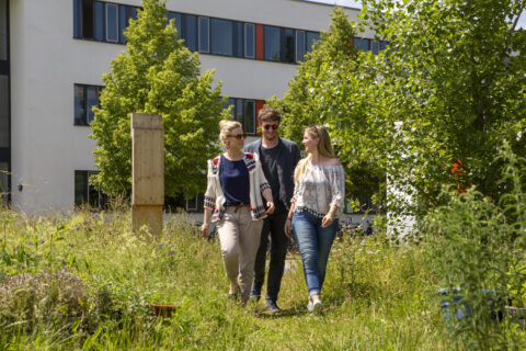 Drei junge Erwachsene gehen lachend durch eine blühende, wild bewachsene Grünfläche vor einem modernen Hochschulgebäude an einem sonnigen Tag.