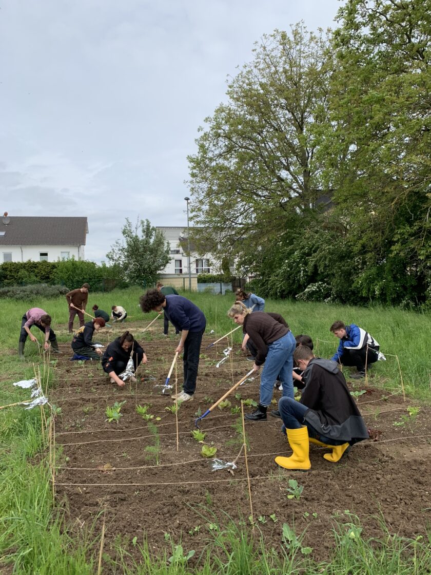Alanus_Hochschule_Campus_Acker_Studierende_auf_dem_Acker__c__Alanus_Hochschule