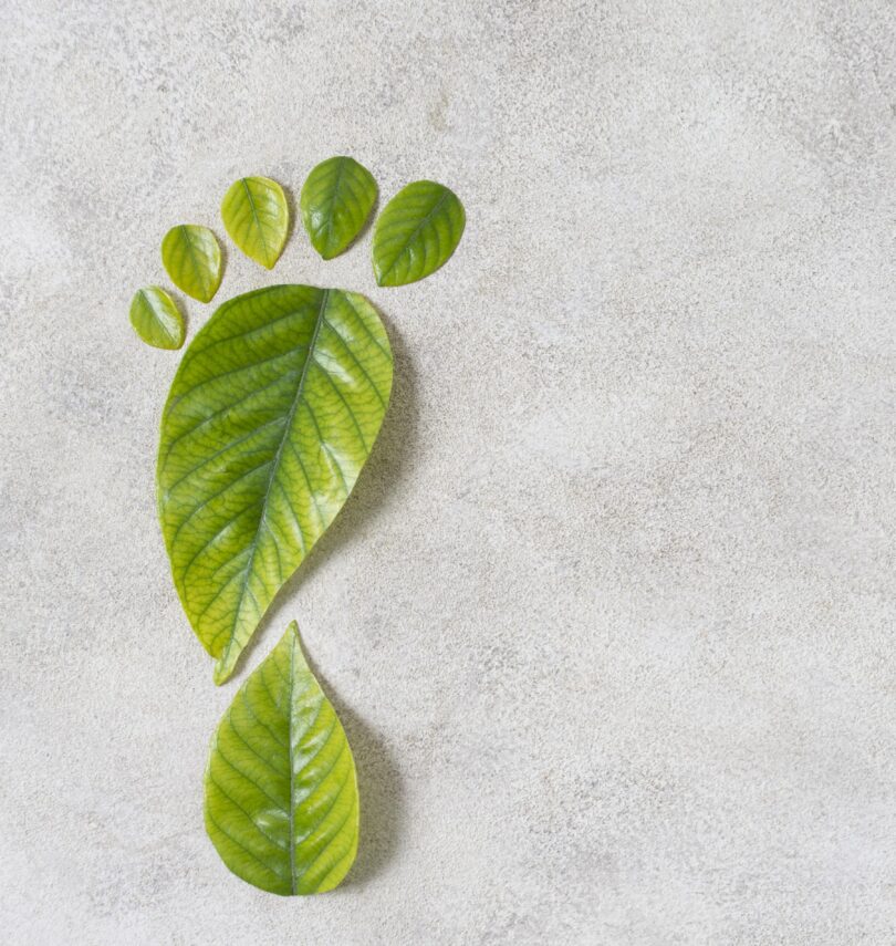 Aus grünen Blättern gelegter Fußabdruck auf heller Steinoberfläche als Symbol für einen umweltfreundlichen Lebensstil.