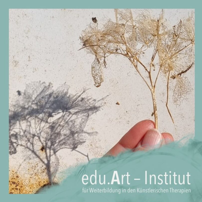 Nahaufnahme einer Hand, die einen filigranen, getrockneten Pflanzenzweig hält, dessen feines Adergeflecht einen schattenhaften Baum auf einer hellen Fläche wirf