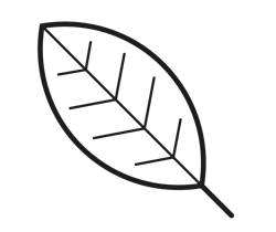 Kreativität & Nachhaltigkeit