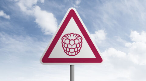 Dreieckiges Verkehrsschild mit Himbeer-Symbol vor blauem Himmel mit Wolken.