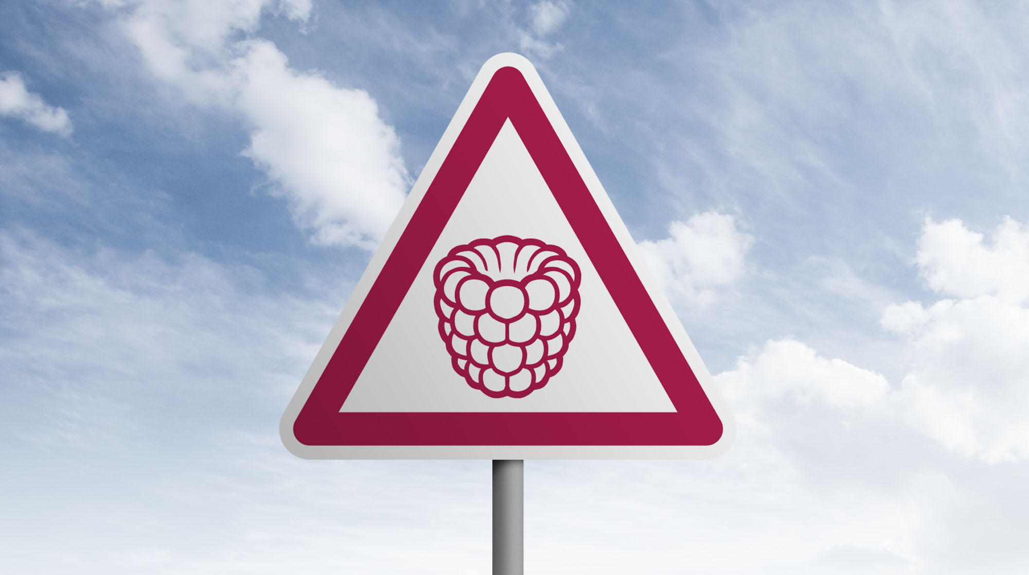 Dreieckiges Verkehrsschild mit Himbeer-Symbol vor blauem Himmel mit Wolken.