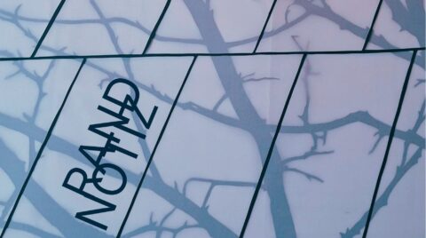 Abstrakte Grafik mit schrägen, dunklen Linien auf hellblauem Hintergrund, die wie Fensterrahmen mit Schatten von Ästen wirken; links steht vertikal und gedreht