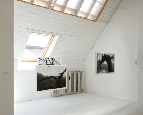 Heller Dachraum einer Galerie mit weiß gestrichenen Holzwänden und schrägen Decken, durch Oberlichter fällt Tageslicht ein. An den Wänden und frei vor einem Hei
